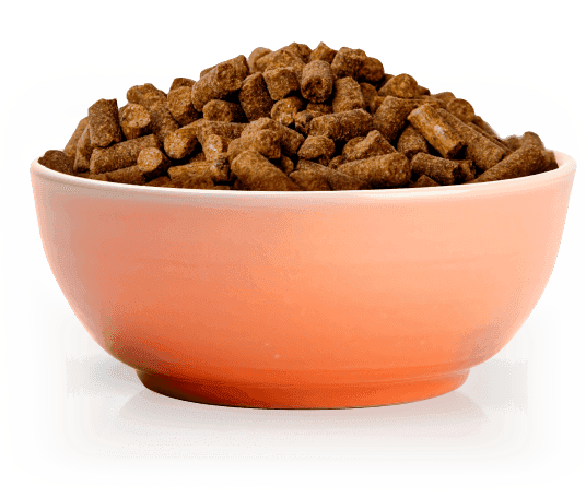 Bowl of Pawsitive Dog Food